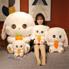 Peluche Conejo Kawai +  Tarjeta de Dedicatoria Personalizada  🥕🥰🌷