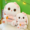 PELUCHE CONEJO KAWAI + TARJETITA DEDICATORIA 👸💖
