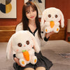 Peluche Conejo Kawai +  Tarjeta de Dedicatoria Personalizada  🥕🥰🌷