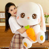 Peluche Conejo Kawai +  Tarjeta de Dedicatoria Personalizada  🥕🥰🌷