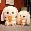 Peluche Conejo Kawai +  Tarjeta de Dedicatoria Personalizada  🥕🥰🌷