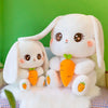 Peluche Conejo Kawai +  Tarjeta de Dedicatoria Personalizada  🥕🥰🌷