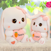 PELUCHE CONEJO KAWAI + TARJETITA DEDICATORIA 👸💖